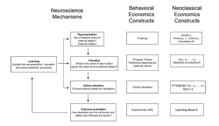 Механизм работы нейроэкономических моделей в сравнении с моделями других школ